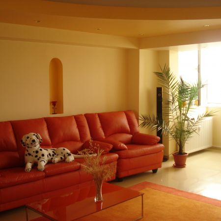 CANAPEAUA DIN LIVING